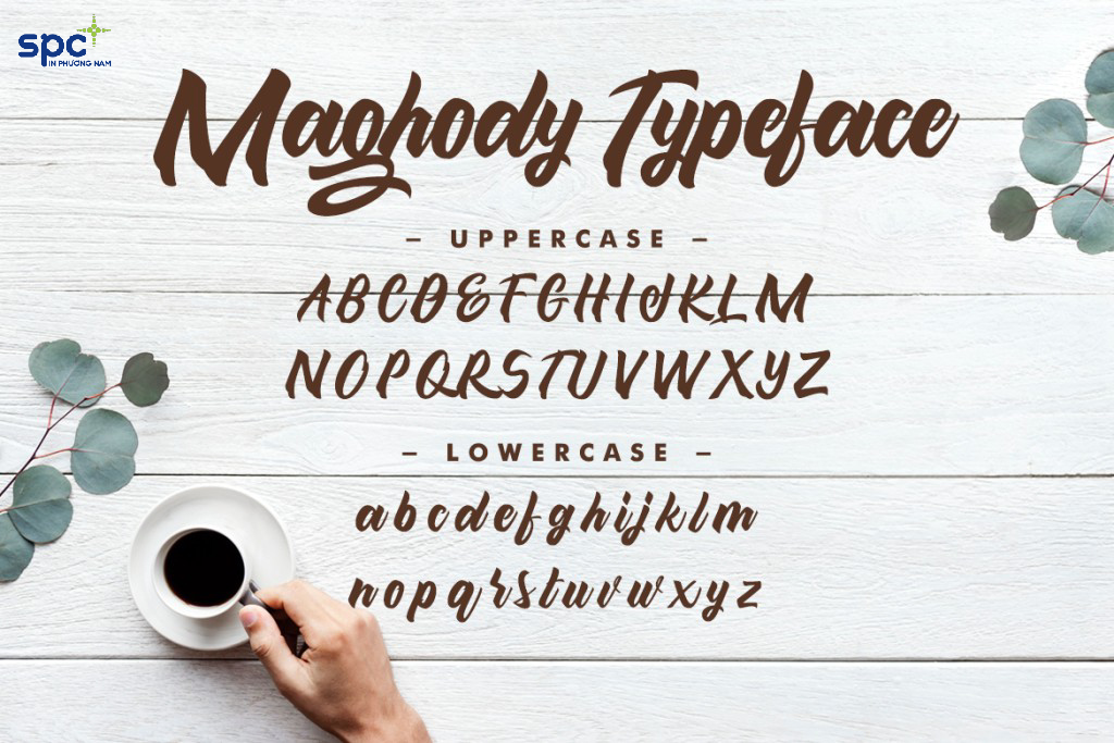Màu sắc, font chữ và hình ảnh sống động sẽ giúp name card trở nên độc đáo Màu sắc, font chữ và hình ảnh sống động sẽ giúp name card trở nên độc đáo