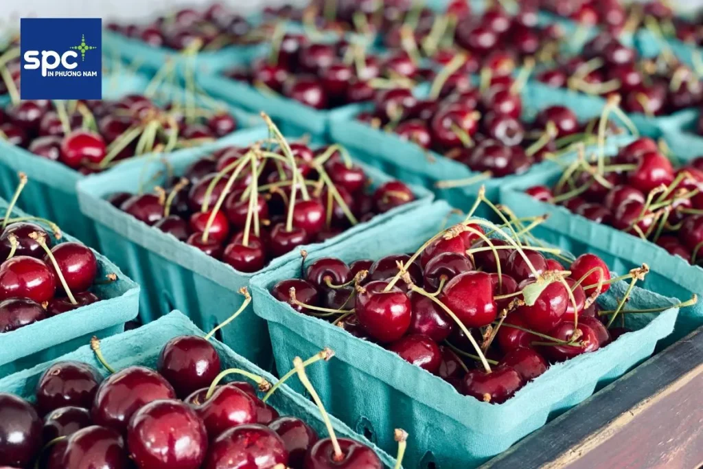 Hộp giấy đựng cherry có khay định hình Hộp giấy đựng cherry có khay định hình