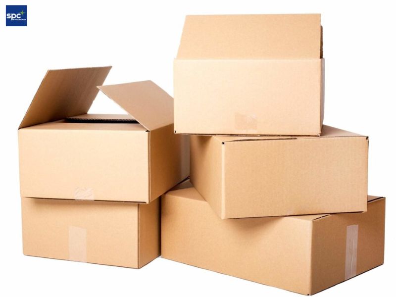 Dễ dàng phân loại và sắp xếp